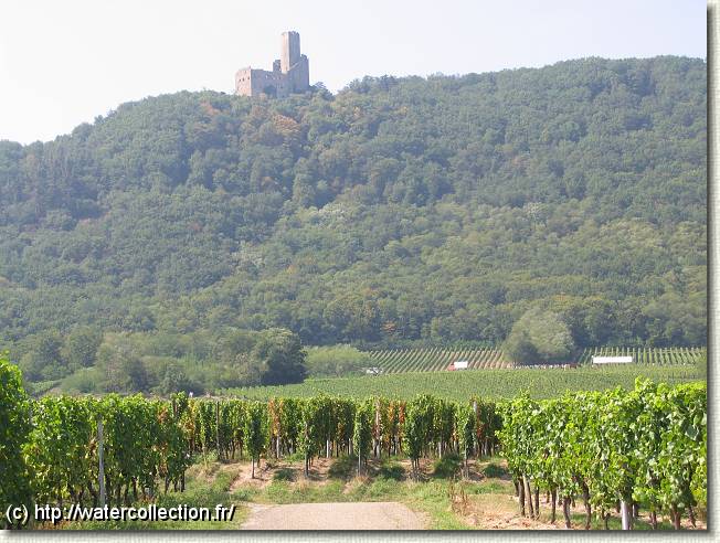 Diapositive suivante